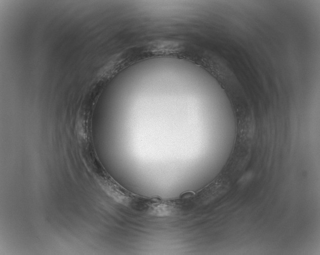X0000079310755200612011816