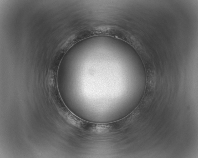 X0000079310758200612011816