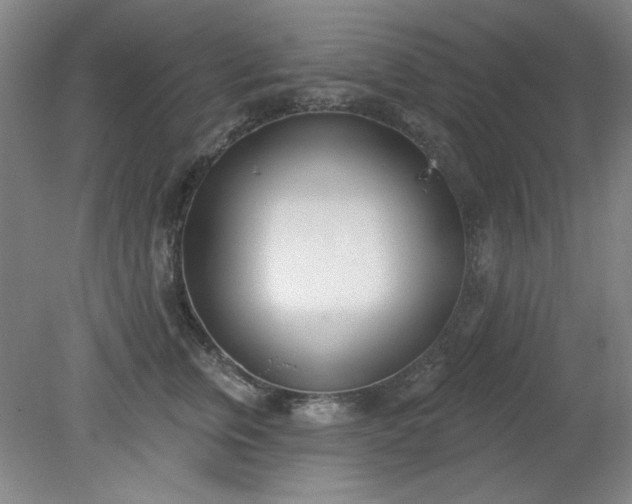 X0000079310759200612011816
