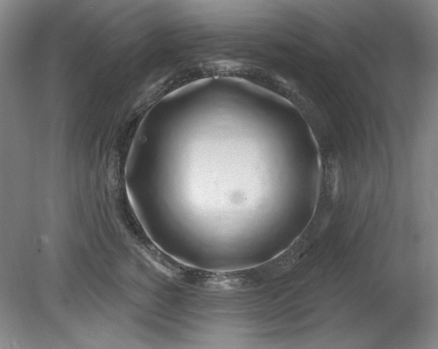 X0000079310760200612011816