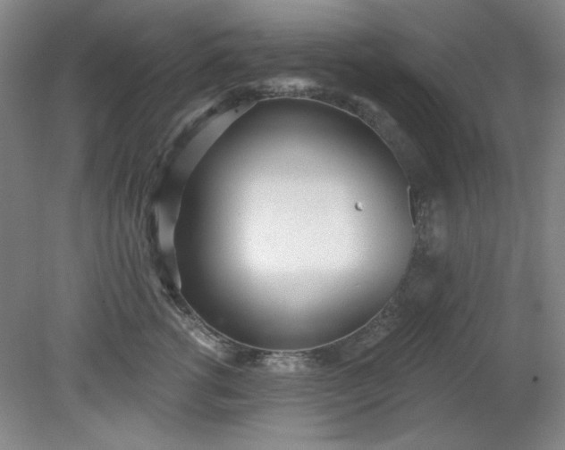 X0000079310762200612011816