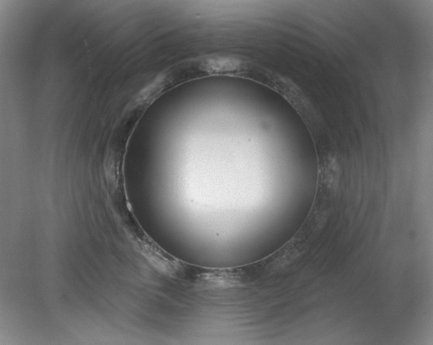 X0000079310763200612011816