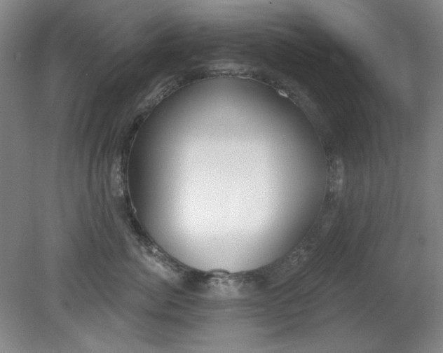 X0000079310764200612011816