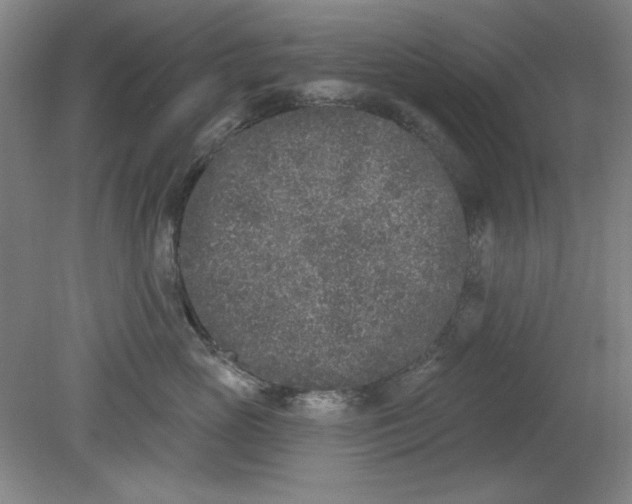 X0000079310765200612011816