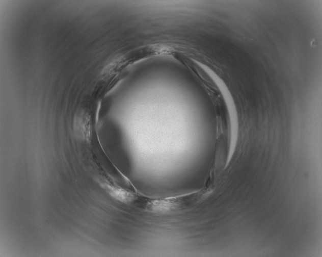 X0000079310766200612011816
