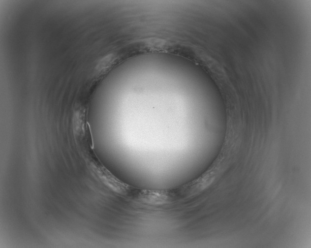 X0000079310768200612011816