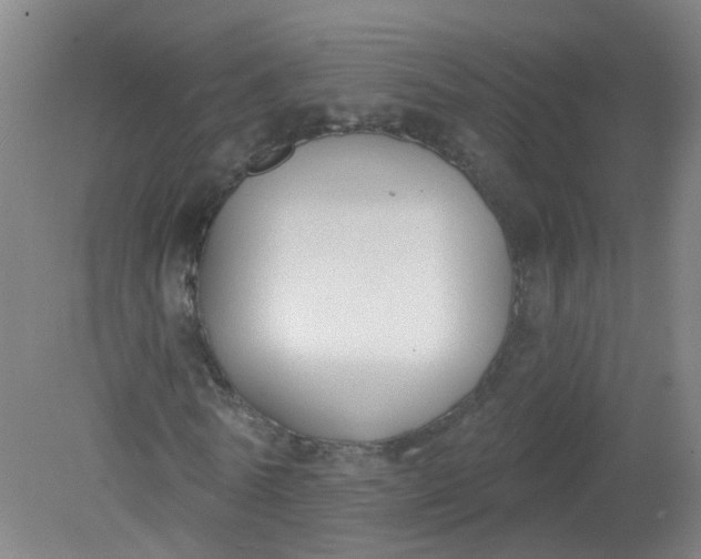 X0000079310770200612011815