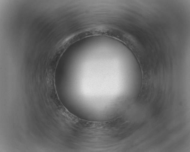 X0000079310773200612011815