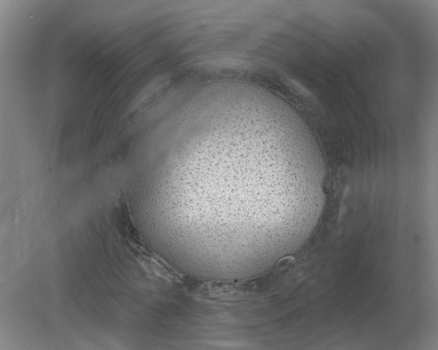 X0000079310774200612011815