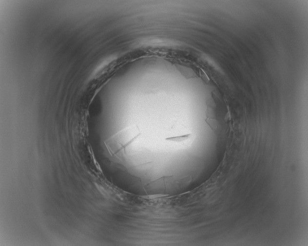 X0000079310775200612011815