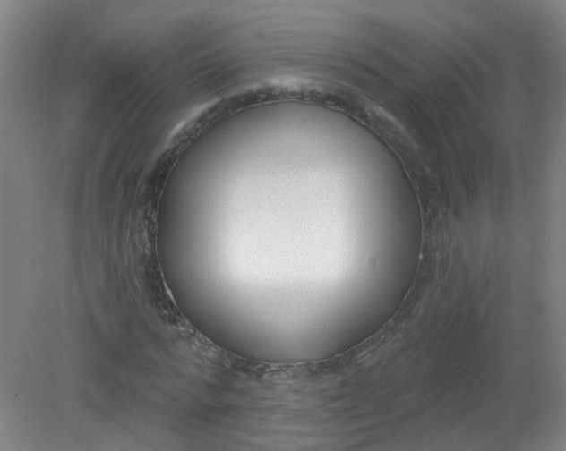 X0000079310776200612011815