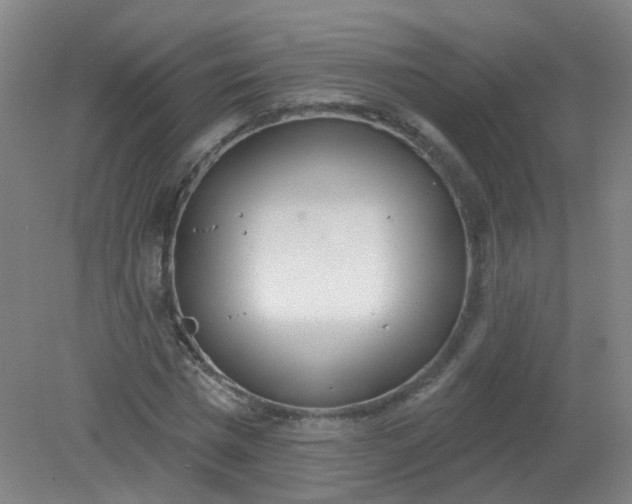 X0000079310777200612011815