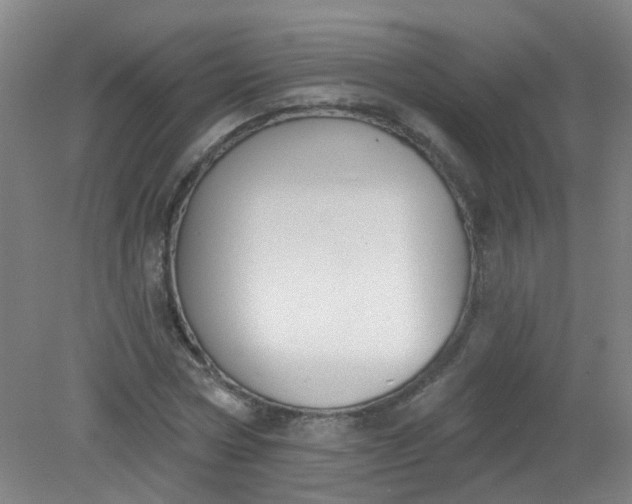 X0000079310778200612011815