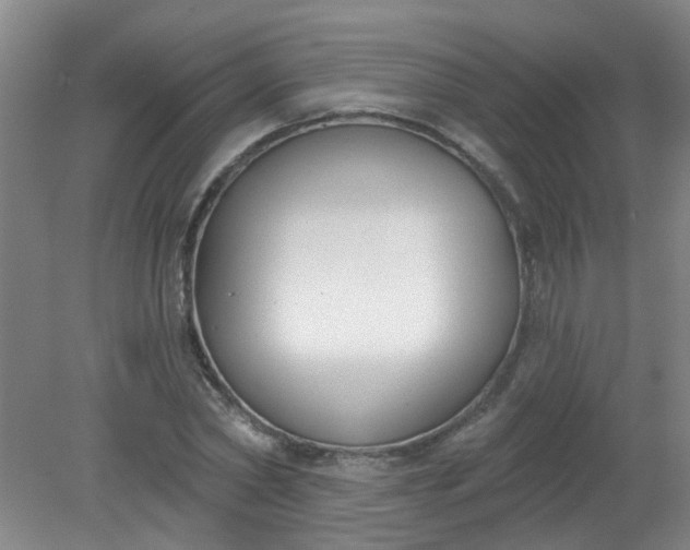 X0000079310782200612011815