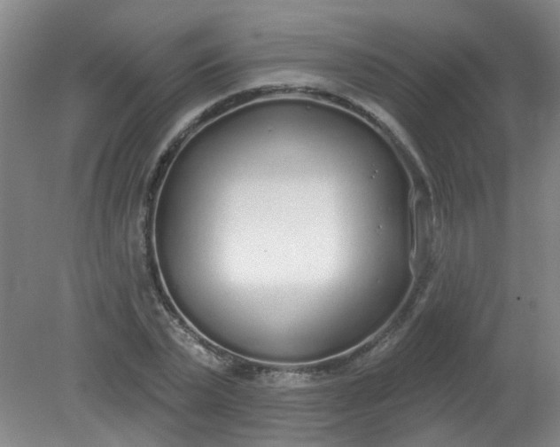 X0000079310783200612011815