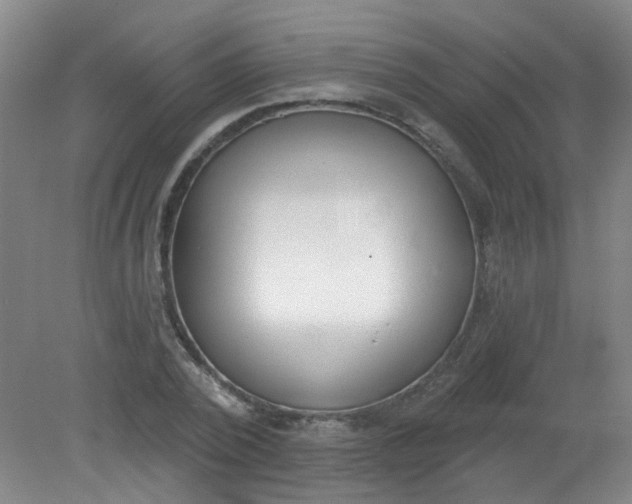 X0000079310784200612011815