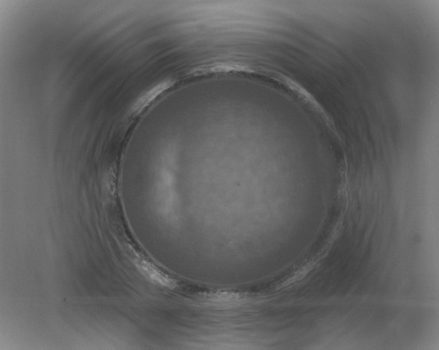 X0000079310785200612011815
