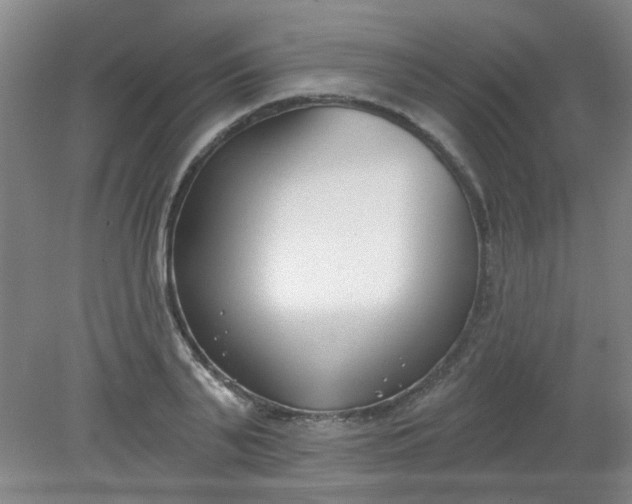 X0000079310791200612011815