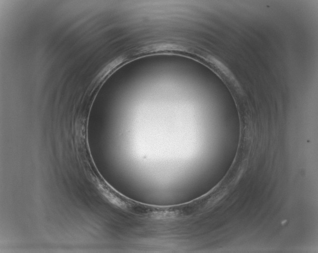 X0000079310793200612011815