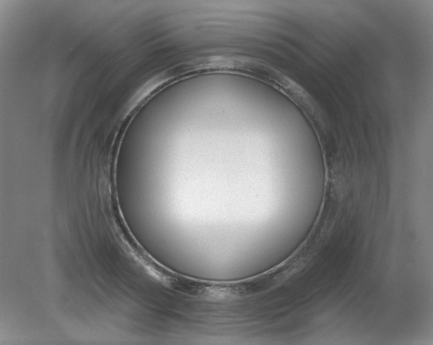 X0000079310794200612011815
