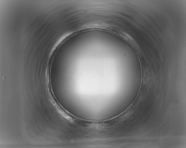 X0000079310796200612011815