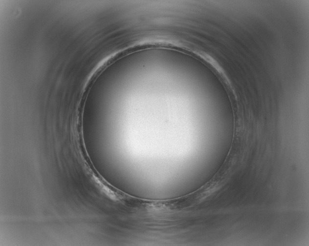 X0000079310799200612011815