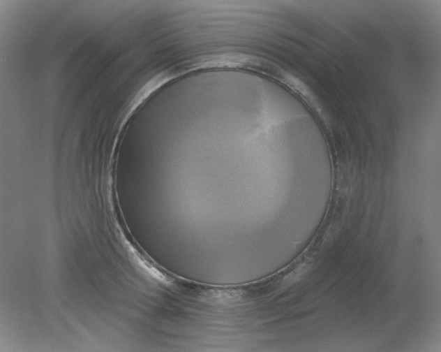 X0000079310802200612011815