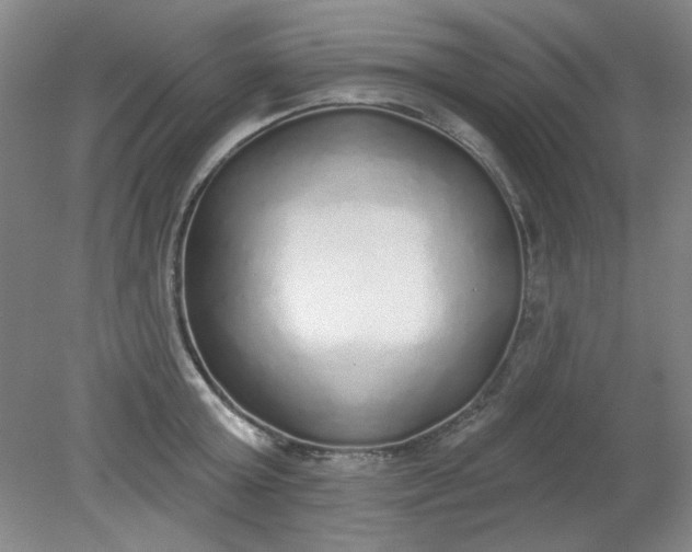 X0000079310803200612011815