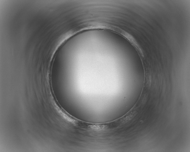X0000079310805200612011815