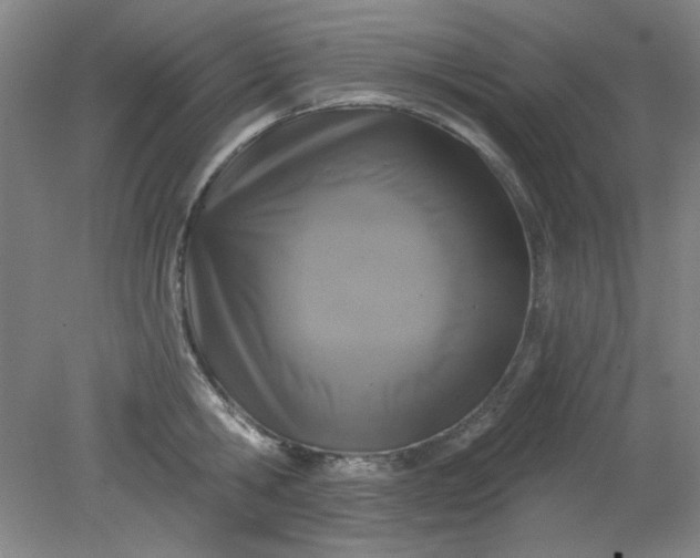X0000079310806200612011815