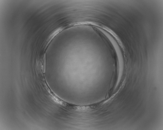 X0000079310809200612011815