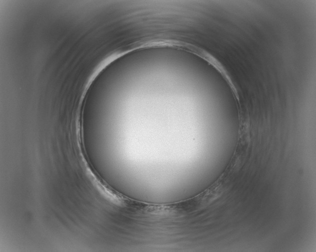 X0000079310811200612011815