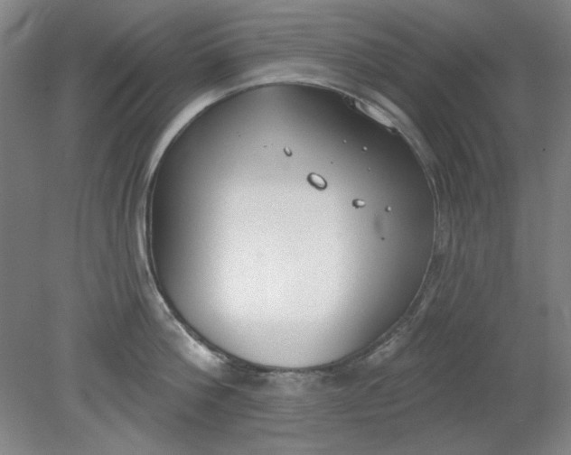 X0000079310812200612011814
