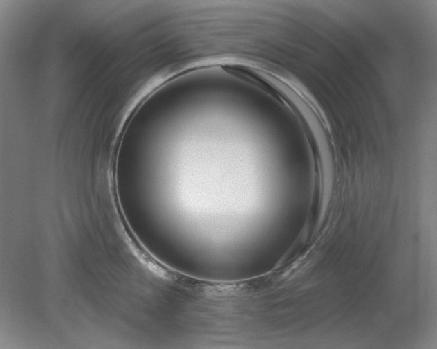 X0000079310813200612011814
