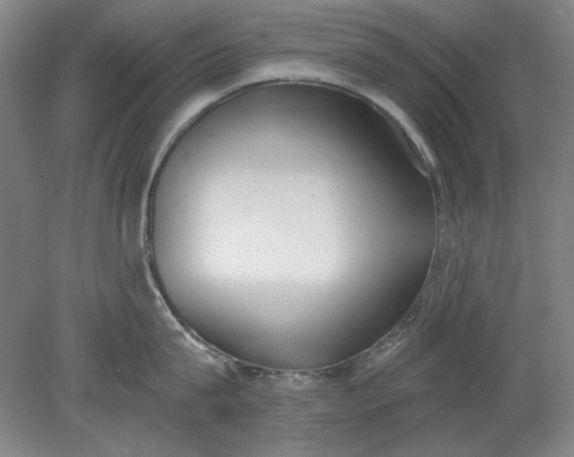 X0000079310815200612011814