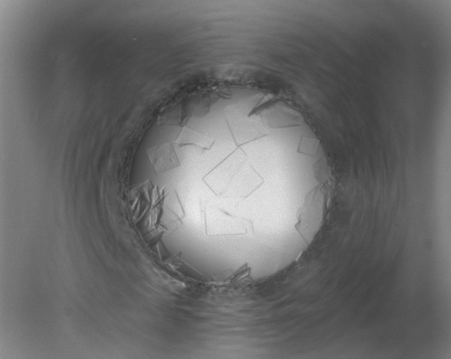 X0000079310817200612011814