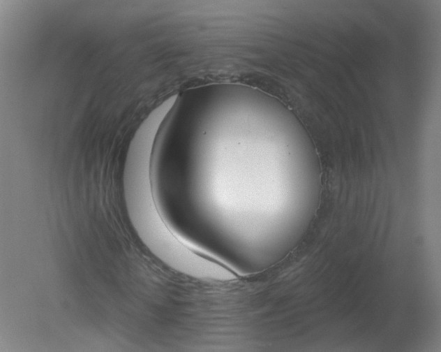 X0000079310818200612011814