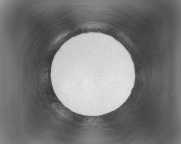 X0000079310824200612011814