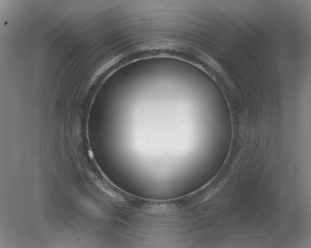 X0000079310826200612011814