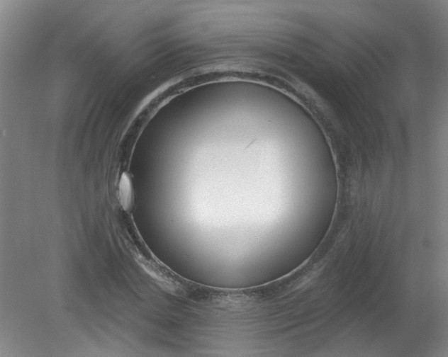 X0000079310830200612011814