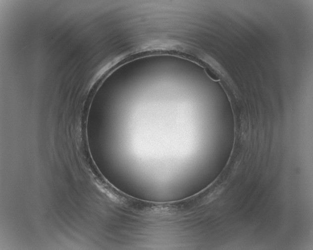 X0000079310834200612011814