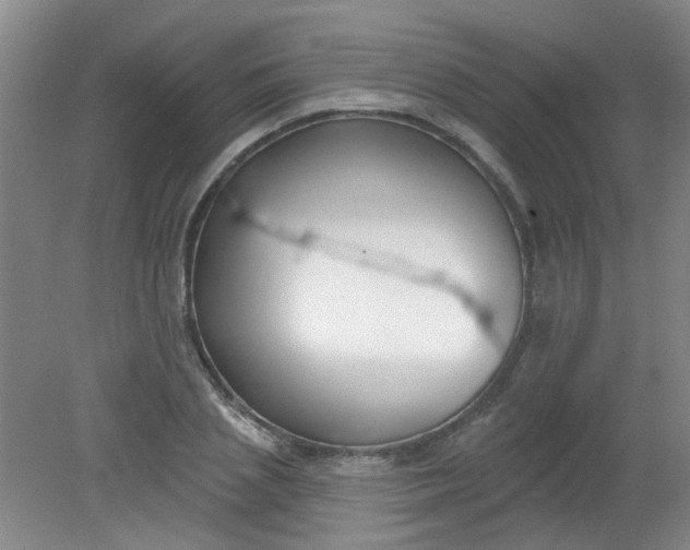 X0000079310837200612011814