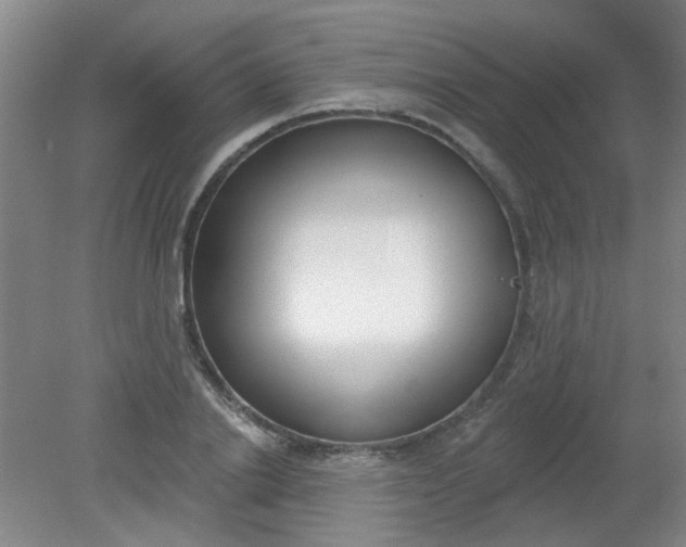 X0000079310838200612011814