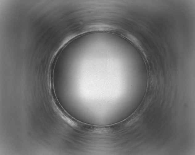 X0000079310843200612011814