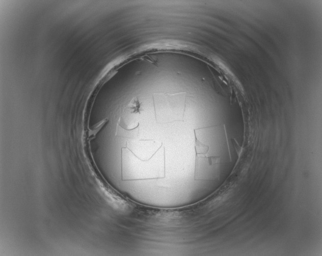 X0000079310845200612011814