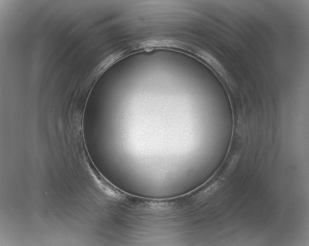 X0000079310849200612011814