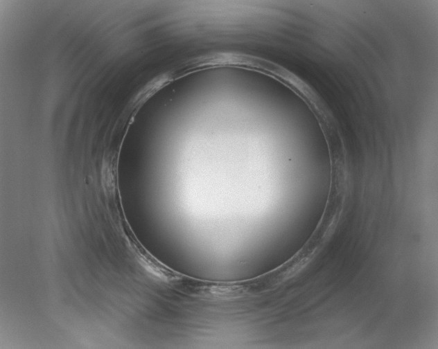 X0000079310857200612011814