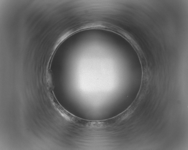 X0000079310858200612011814
