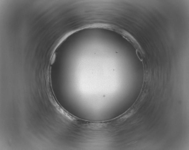 X0000079310860200612011814
