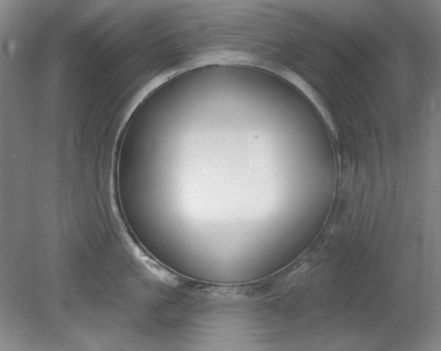 X0000079310861200612011814